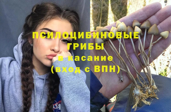 мяу мяу мука Киреевск